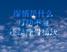 感人催泪虐心独白句子