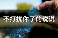 不打扰你了的说说 最近我就不打扰你了的说说(精选42句)