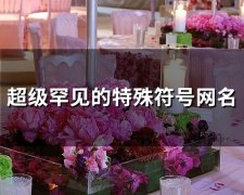 超级罕见的特殊符号网名(精选173个)