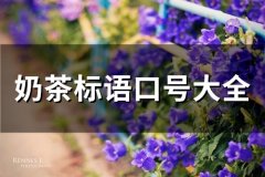 奶茶标语口号大全(精选37句)