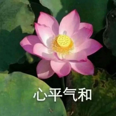 老母亲头像图片大全(精选28张)