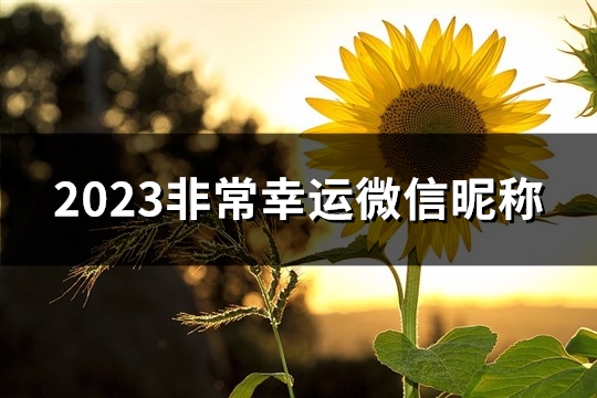 2023非常幸运微信昵称(1085个)