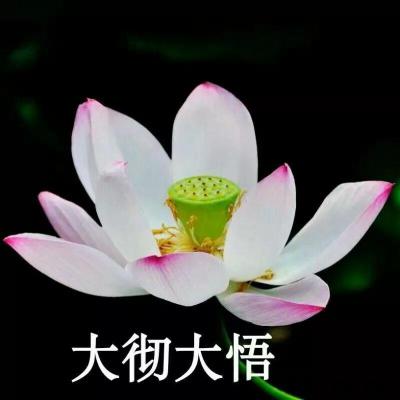 适合老人的微信头像(共50张)