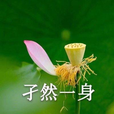 适合老人的微信头像(共50张)