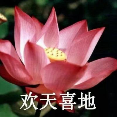 适合老人的微信头像(共50张)