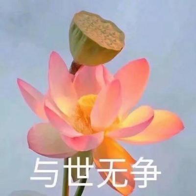 适合老人的微信头像(共50张)