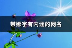 带娜字有内涵的网名(精选60个)