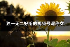 独一无二好听的视频号昵称女(共245个)