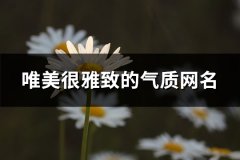 唯美很雅致的气质网名(精选687个)