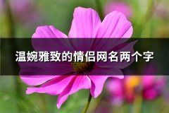 温婉雅致的情侣网名两个字(88个)