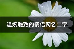 温婉雅致的情侣网名二字(216个)