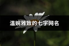 温婉雅致的七字网名(175个)