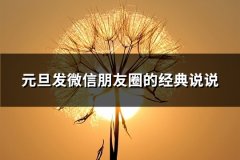 元旦发微信朋友圈的经典说说(37句)