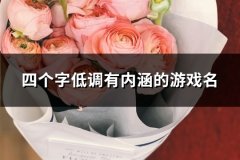 四个字低调有内涵的游戏名(精选115个)